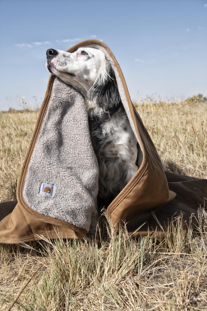 SPGP537 - Carhartt Firm Duck Lined Throw (Stocked In Canada)*