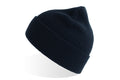 RIO - Atlantis Cuffed Beanie